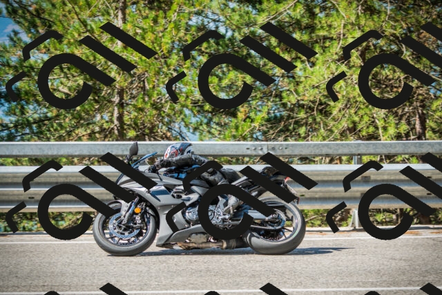 202508091027-DSC03335_c1_