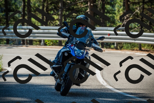 202508091028-DSC03339_c1_