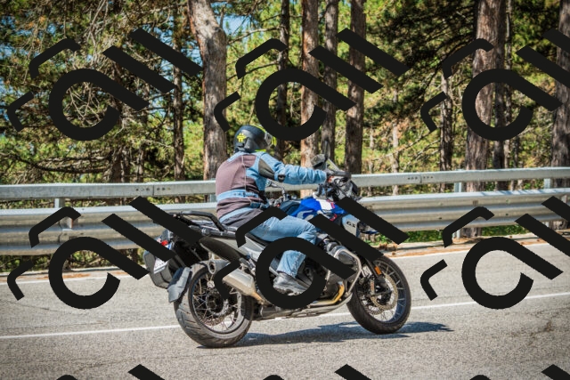 202508091028-DSC03343_c1_