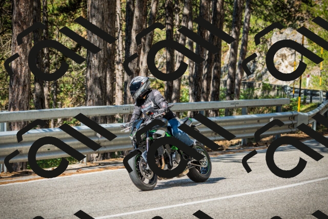 202508091029-DSC03345_c1_