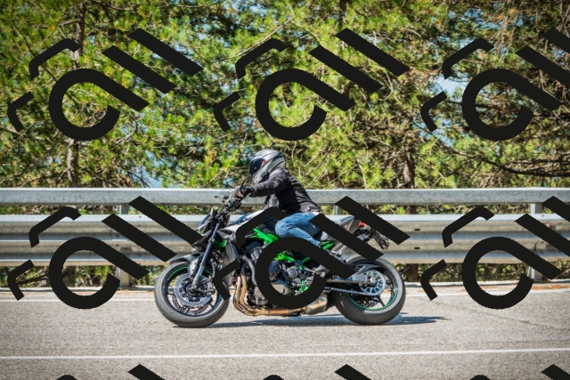 202508091029-DSC03346_c1_