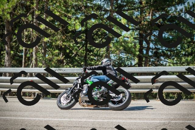 202508091029-DSC03347_c1_