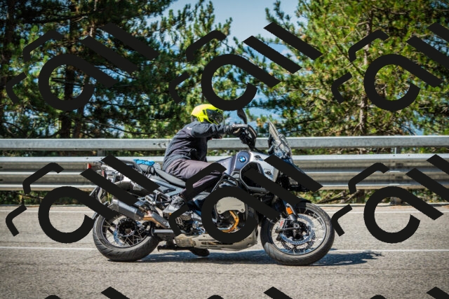 202508091029-DSC03353_c1_