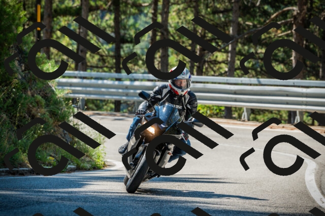 202508091029-DSC03355_c1_