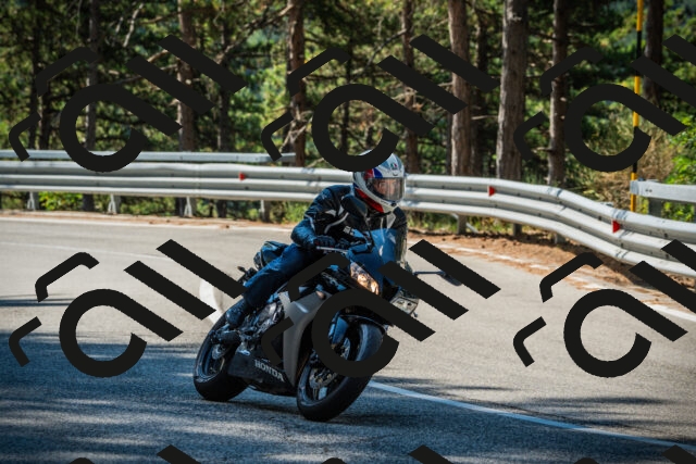 202508091029-DSC03356_c1_