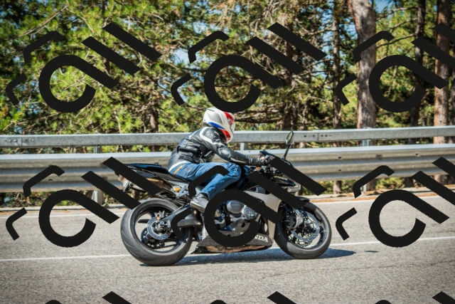 202508091029-DSC03358_c1_