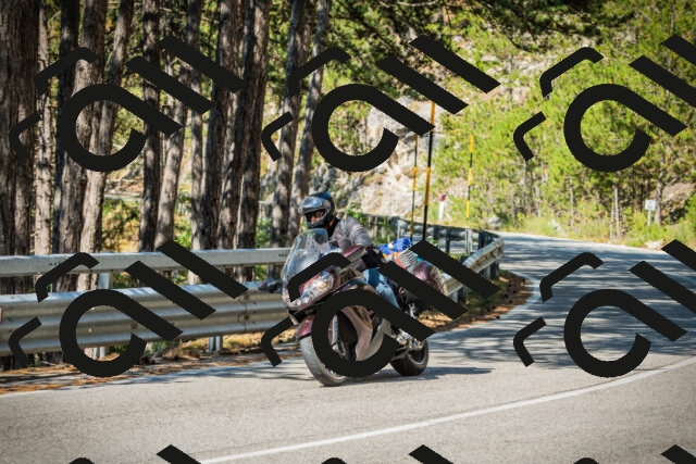 202508091030-DSC03360_c1_