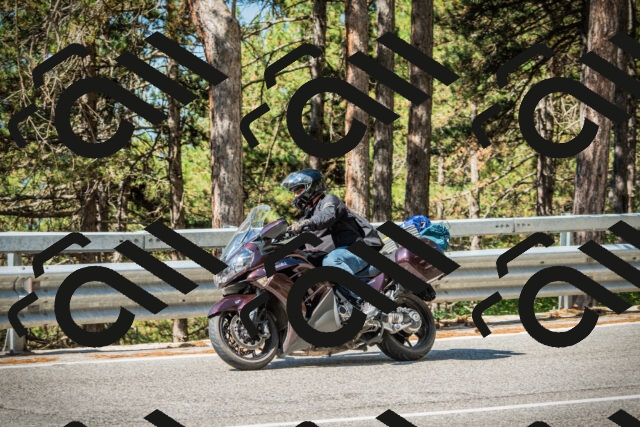 202508091030-DSC03361_c1_