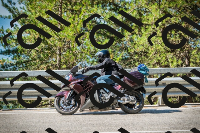 202508091030-DSC03362_c1_