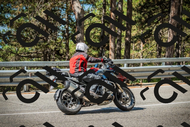 202508091030-DSC03364_c1_