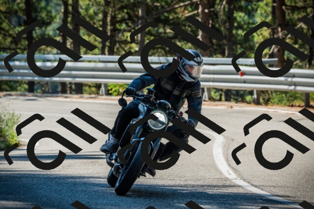 202508091030-DSC03370_c1_