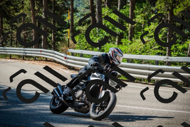 202508091030-DSC03371_c1_