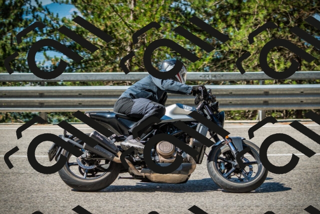 202508091030-DSC03372_c1_