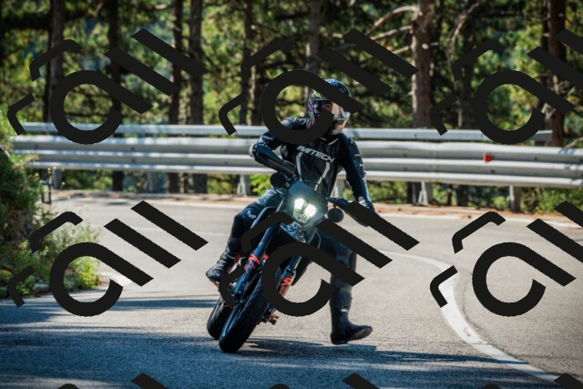 202508091031-DSC03376_c1_