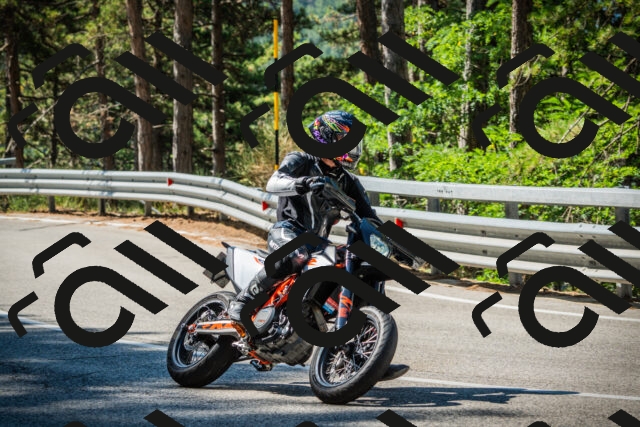 202508091031-DSC03377_c1_