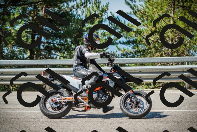 202508091031-DSC03378_c1_