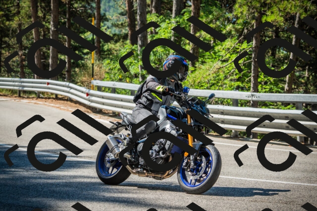 202508091031-DSC03380_c1_