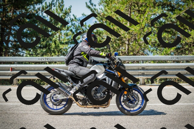 202508091031-DSC03381_c1_