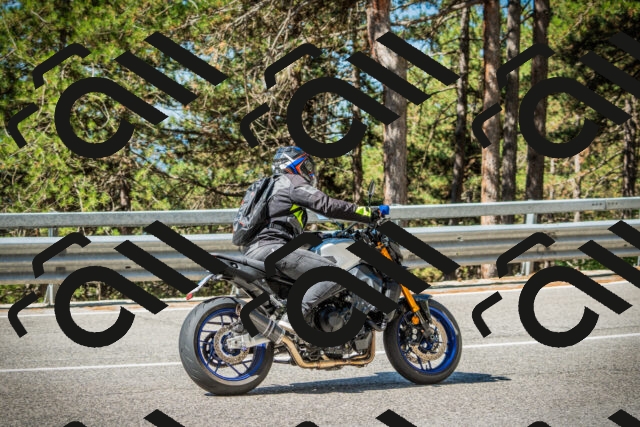 202508091031-DSC03382_c1_