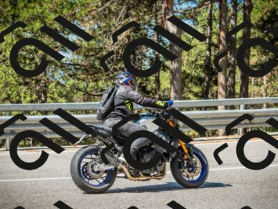 202508091031-DSC03382_c1_