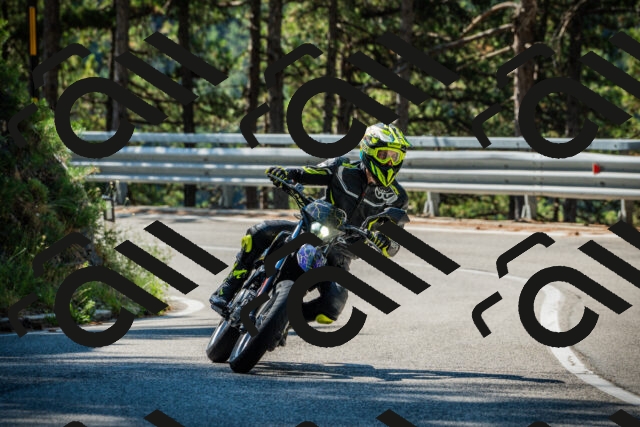 202508091032-DSC03387_c1_