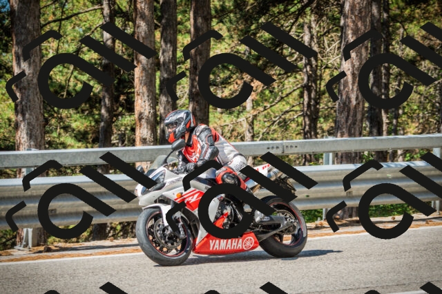 202508091034-DSC03393_c1_