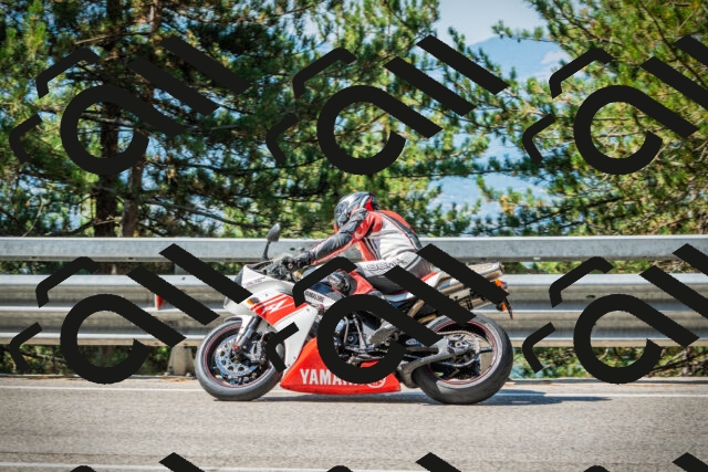 202508091034-DSC03394_c1_