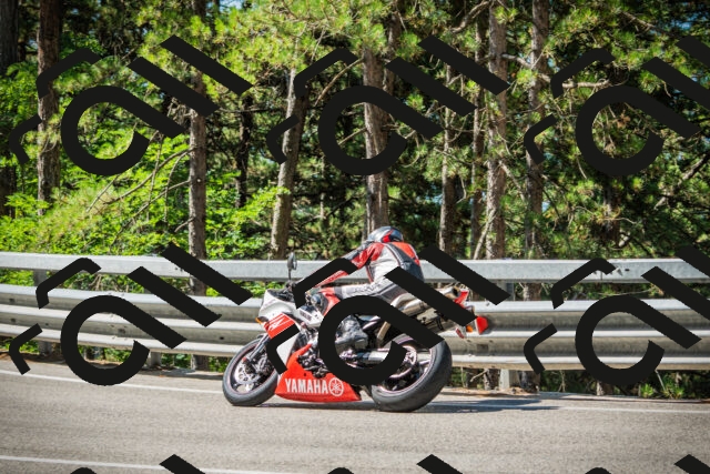 202508091034-DSC03395_c1_