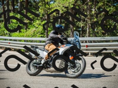 202508091035-DSC03398_c1_