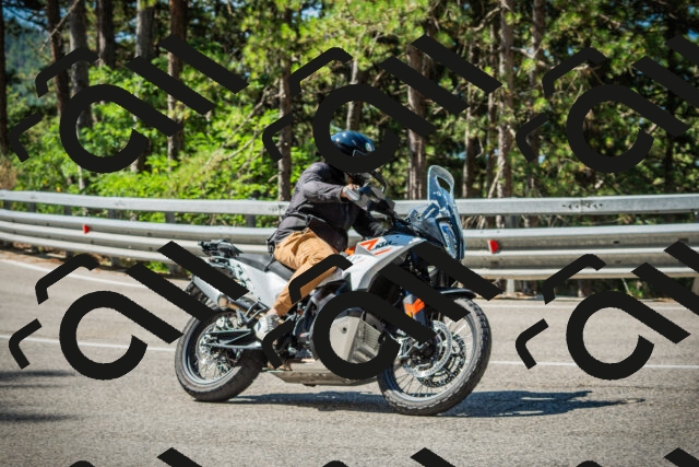 202508091035-DSC03398_c1_