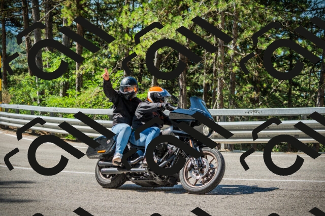 202508091035-DSC03402_c1_