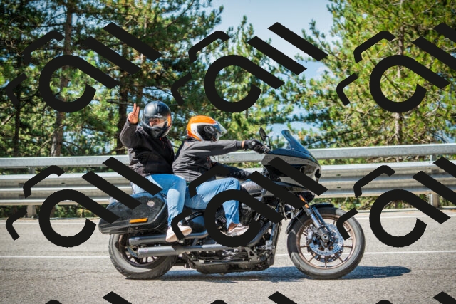 202508091035-DSC03403_c1_