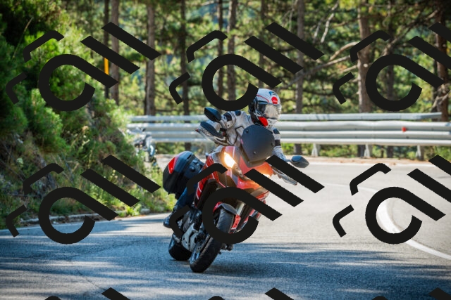 202508091035-DSC03405_c1_