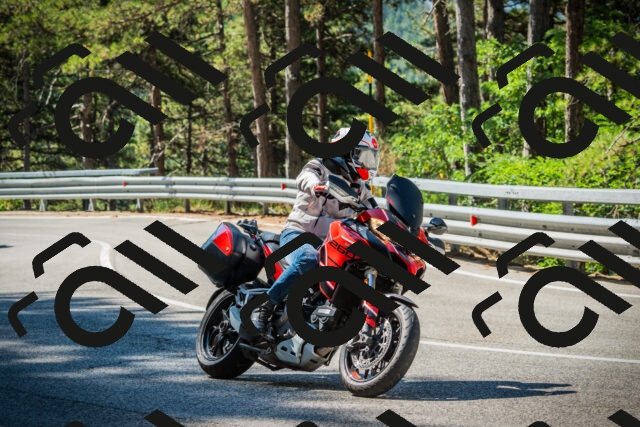 202508091035-DSC03406_c1_