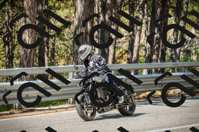 202508091035-DSC03412_c1_