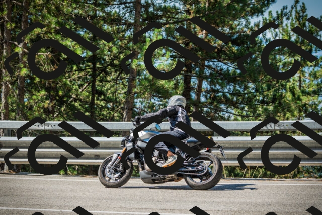 202508091036-DSC03414_c1_