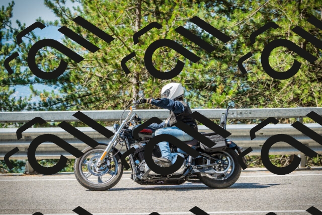 202508091036-DSC03419_c1_