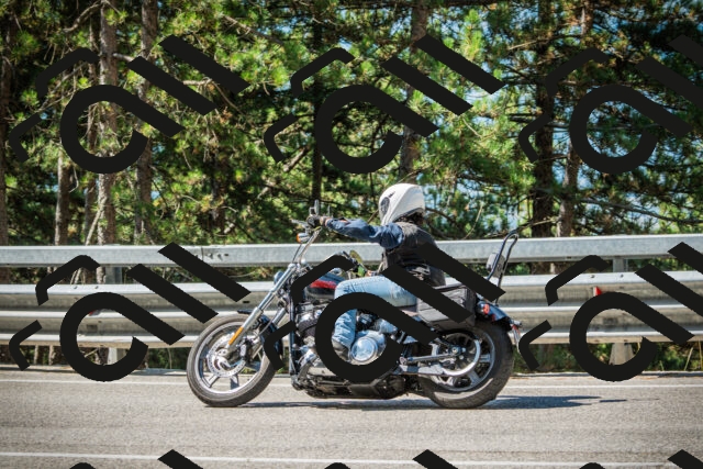 202508091036-DSC03420_c1_