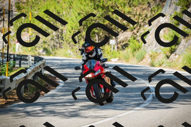 202508091036-DSC03422_c1_