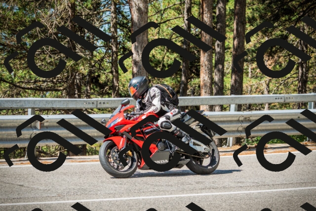 202508091036-DSC03424_c1_