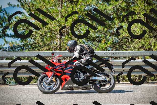 202508091036-DSC03425_c1_