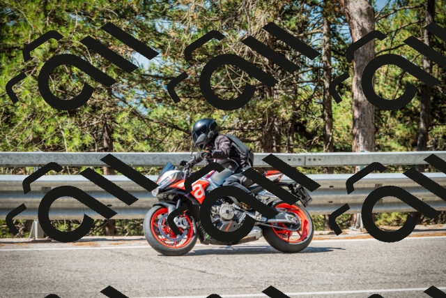 202508091036-DSC03426_c1_