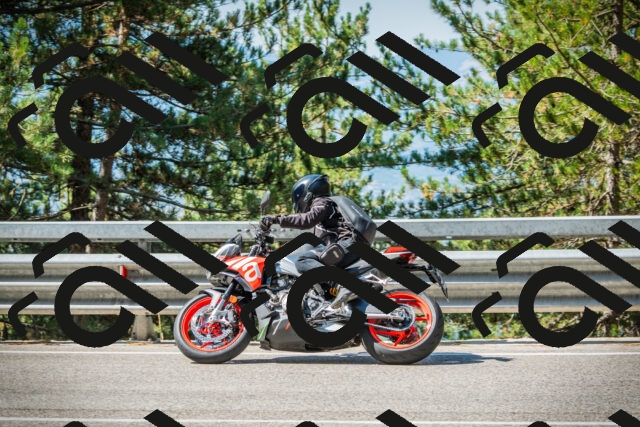 202508091036-DSC03427_c1_