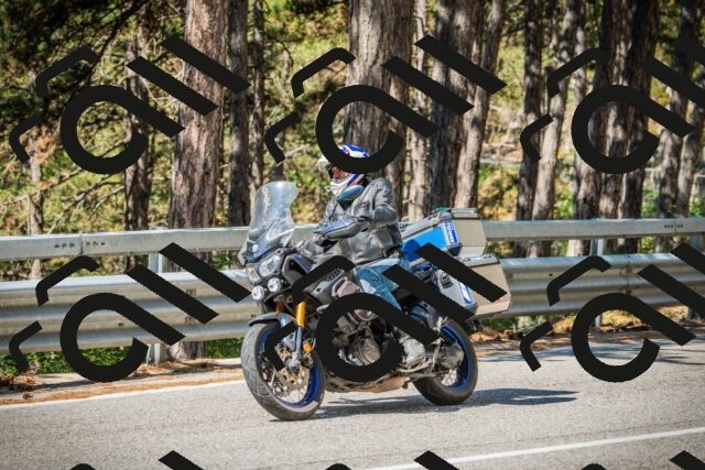 202508091037-DSC03429_c1_