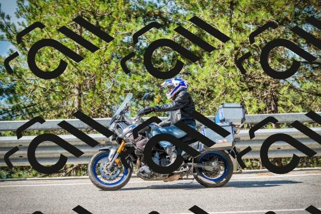 202508091037-DSC03430_c1_