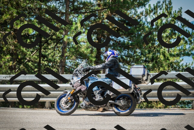 202508091037-DSC03431_c1_