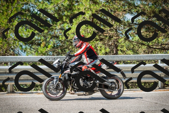 202508091037-DSC03434_c1_