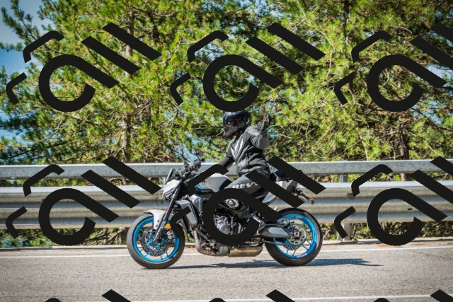 202508091037-DSC03435_c1_