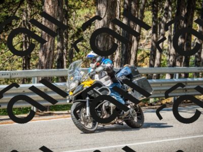 202508091038-DSC03441_c1_