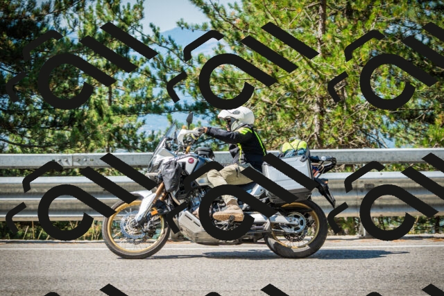 202508091038-DSC03445_c1_